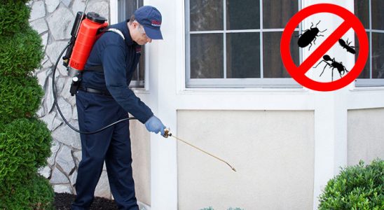 Tire Sivrisinek İlaçlama böcek ilaçlama ve haşere kontrolü — ilaclama-tr.com
